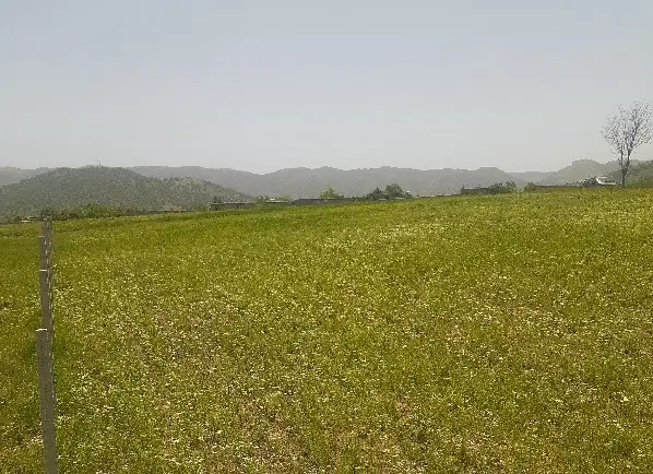 زمین فیروزاباد معاوضه و نقدی