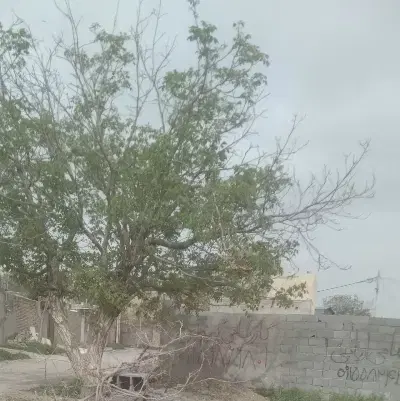 زمین فروشی