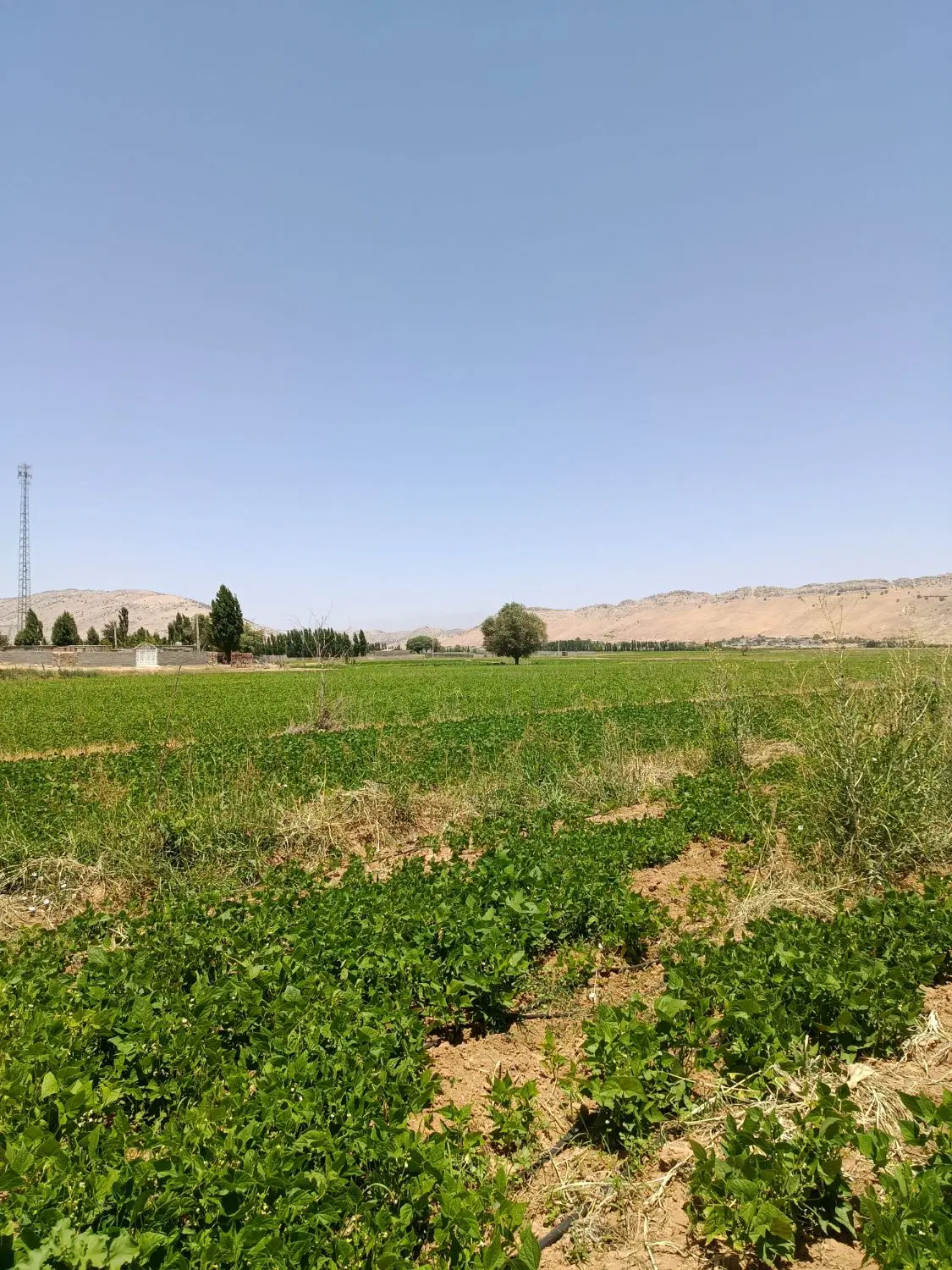 فروش زمین ویلایی دشت روم مورصفا
