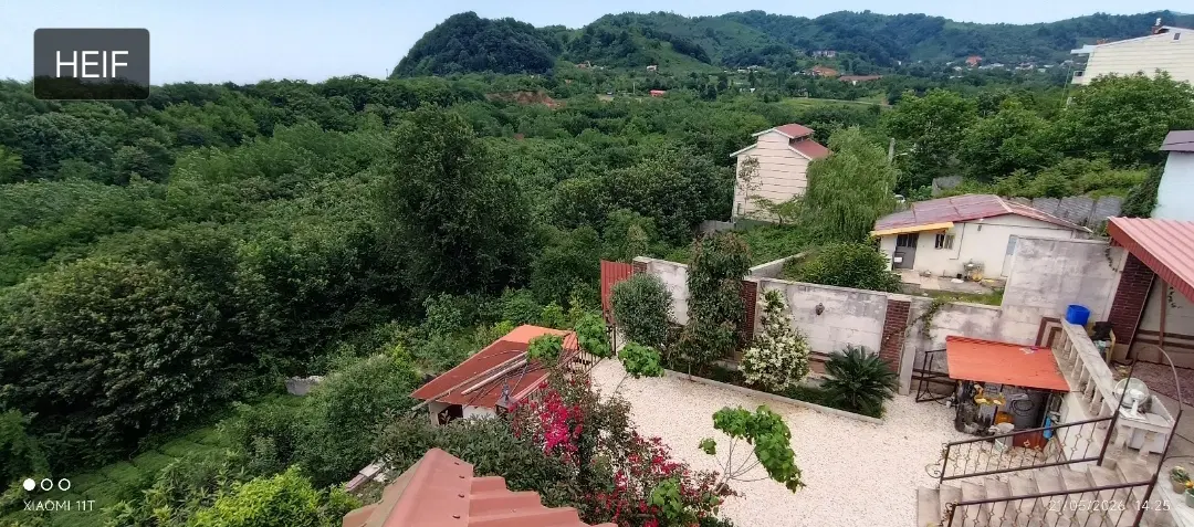اجاره سالانه ویلای جنگلی