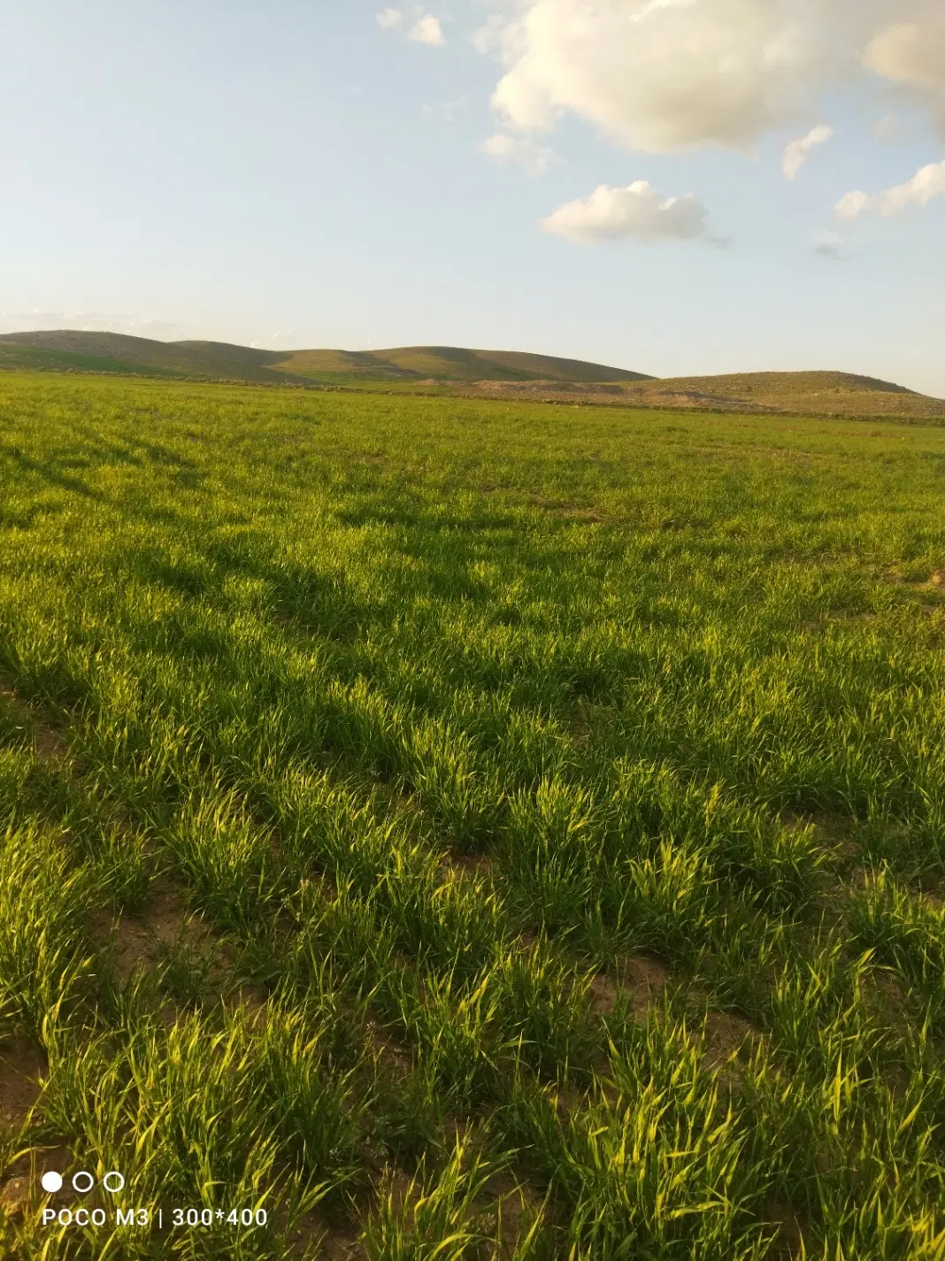 فروش زمین
