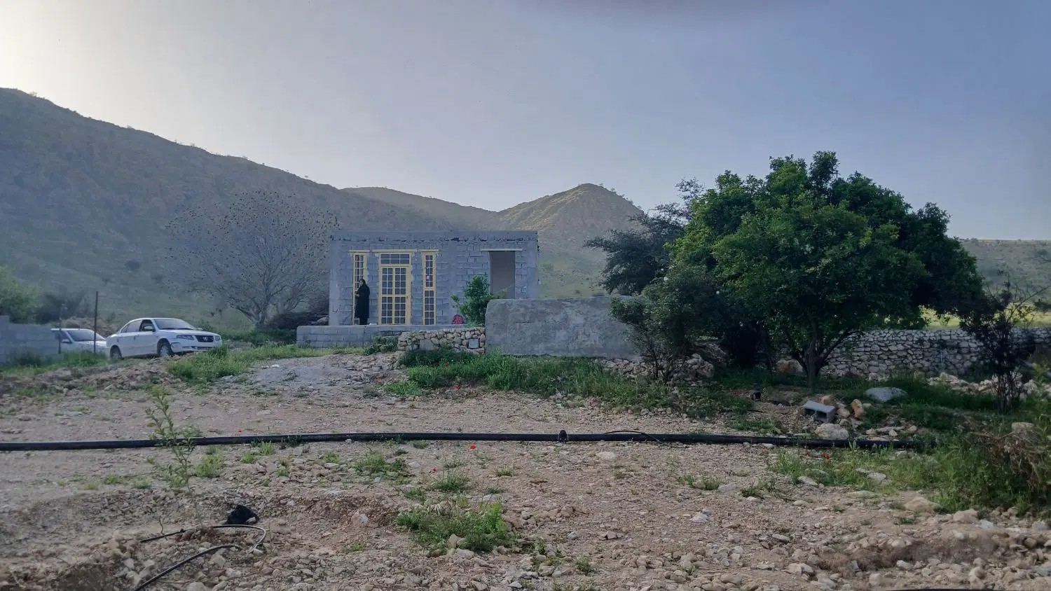 فروش باغ