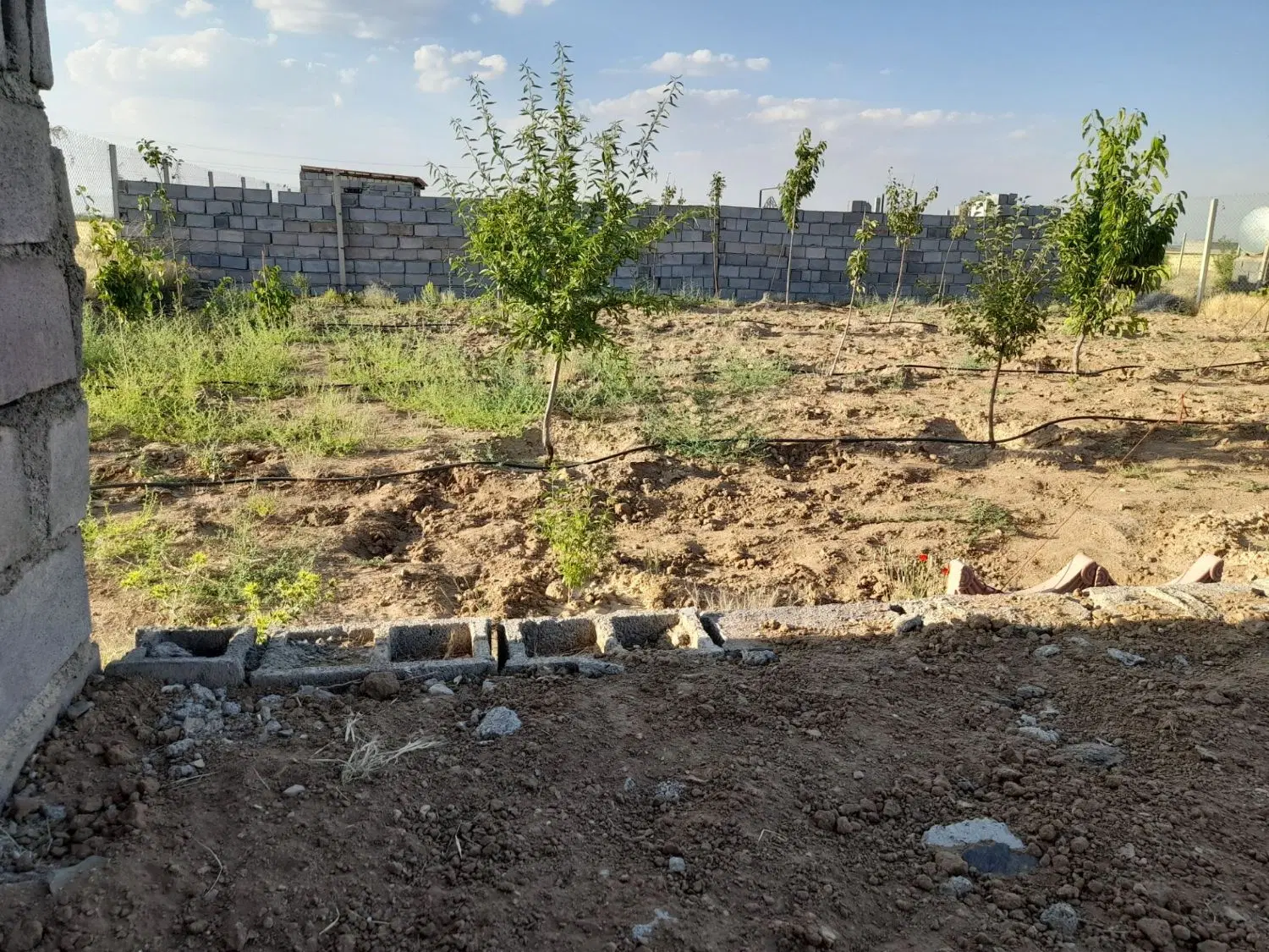 باغ با موقعیت عالی