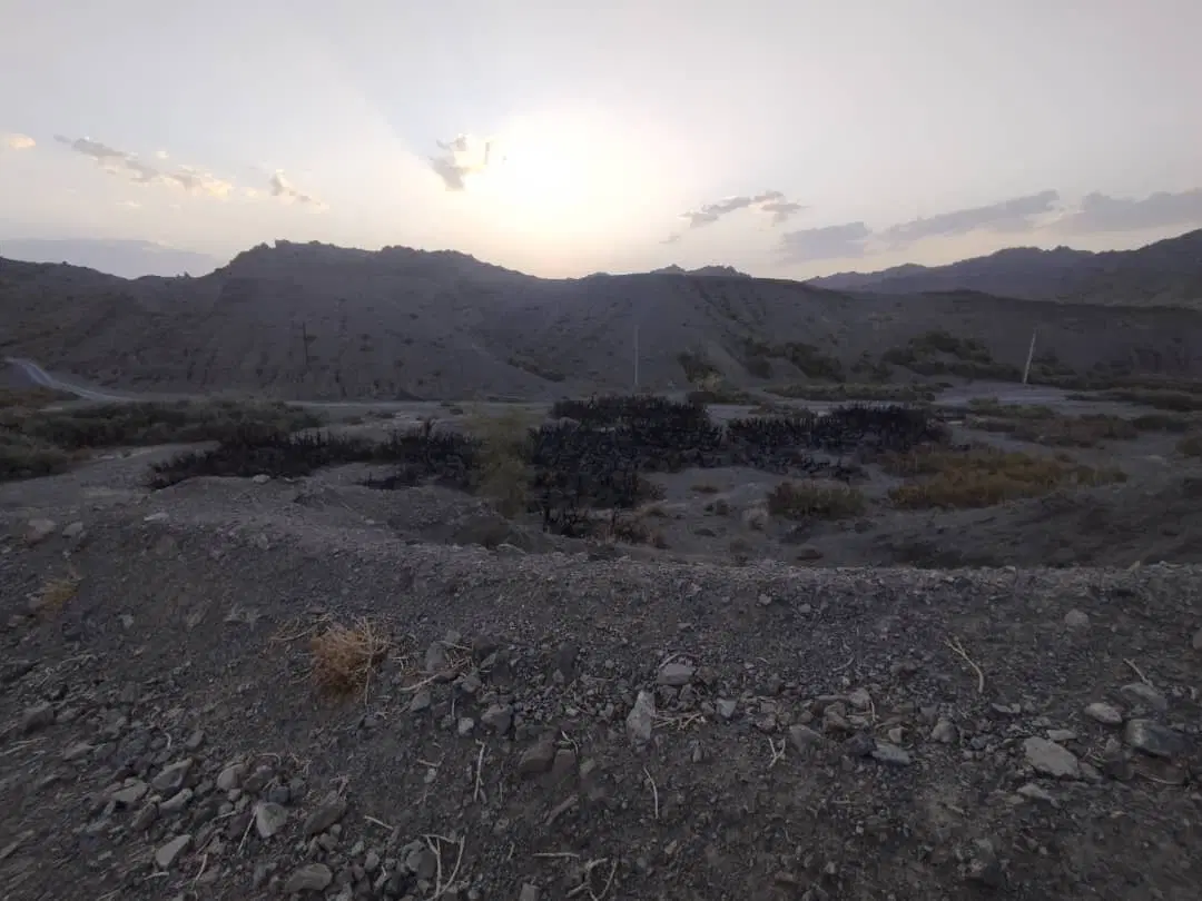 فروش زمین