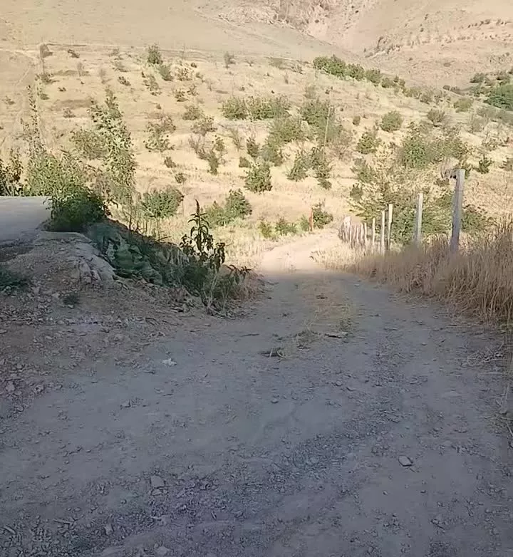 باغ بابا محمد