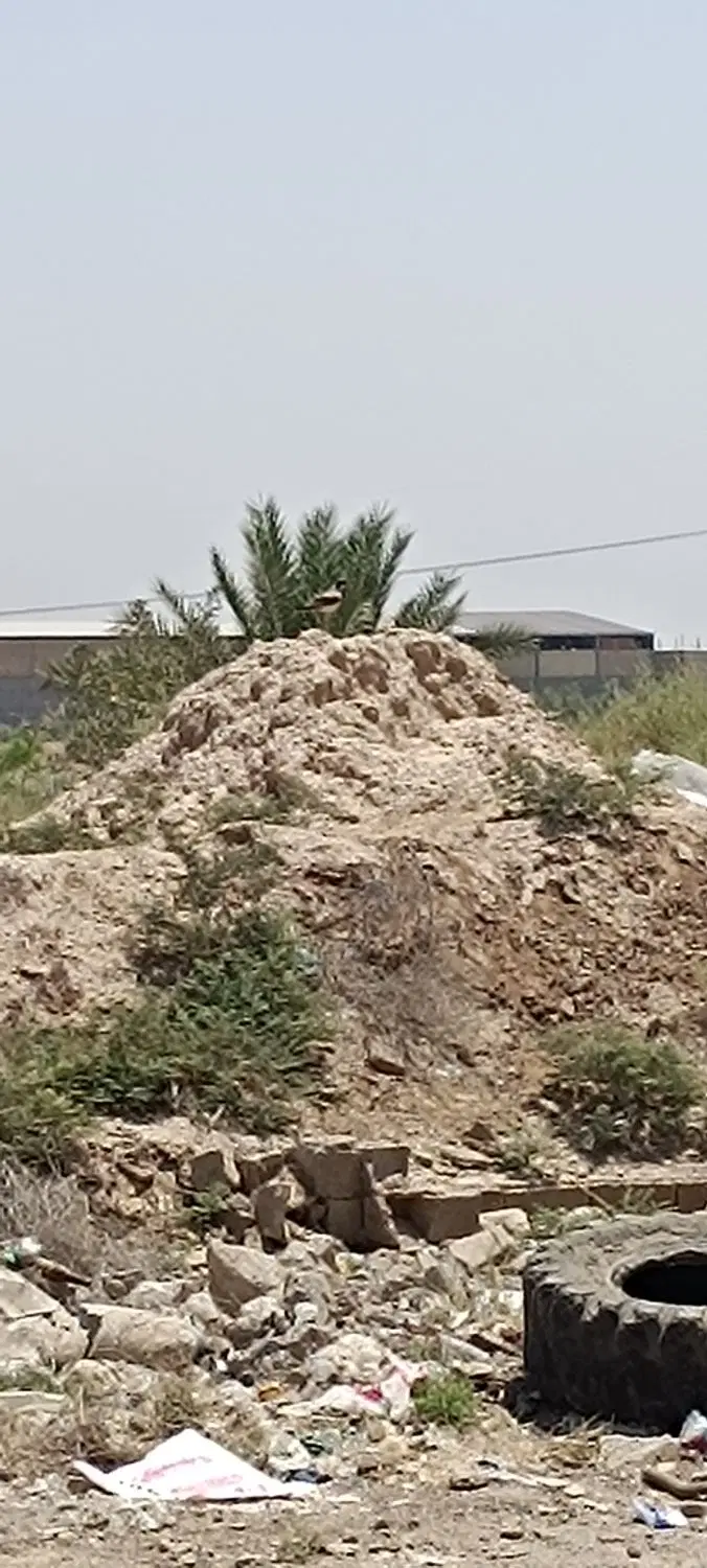 منزل مسکونی ویلایی، تجاری