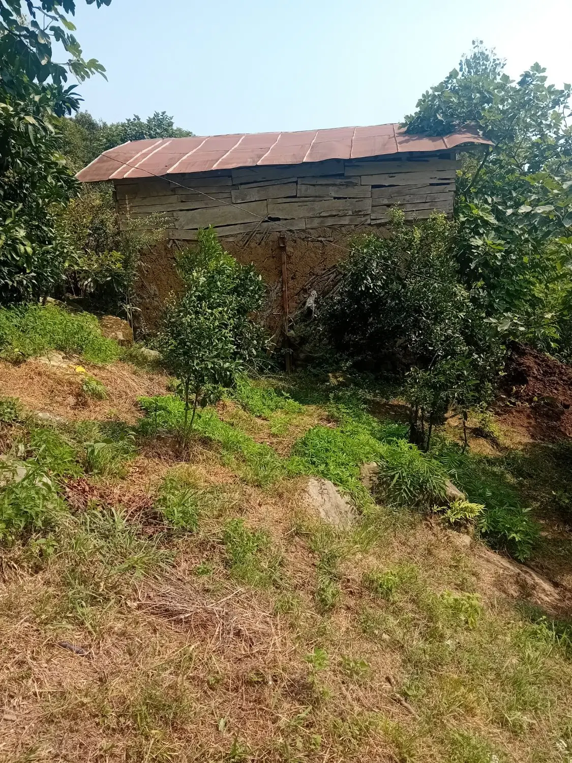 زمین روستای لیماکش