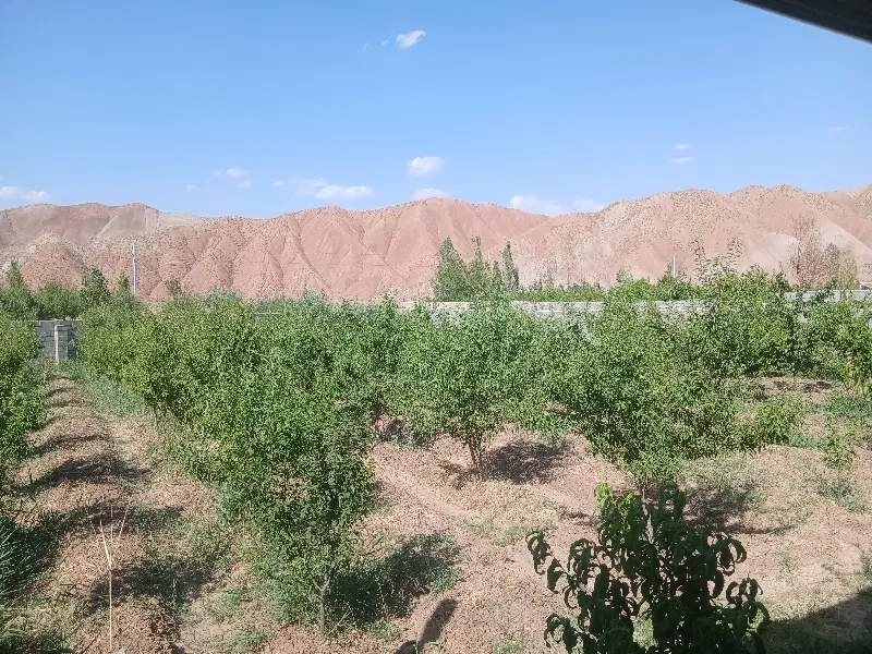 قطعات تفکیکی کوی ییلاق صوفیان