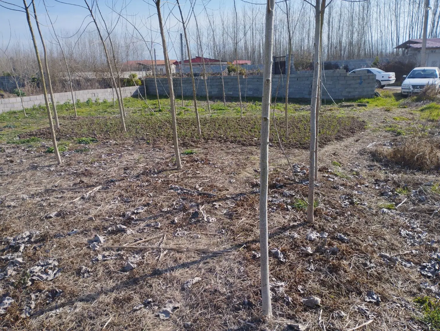 زمین کاربری مسکونی بر 15متری در خالکیاسر سندتکبرگ