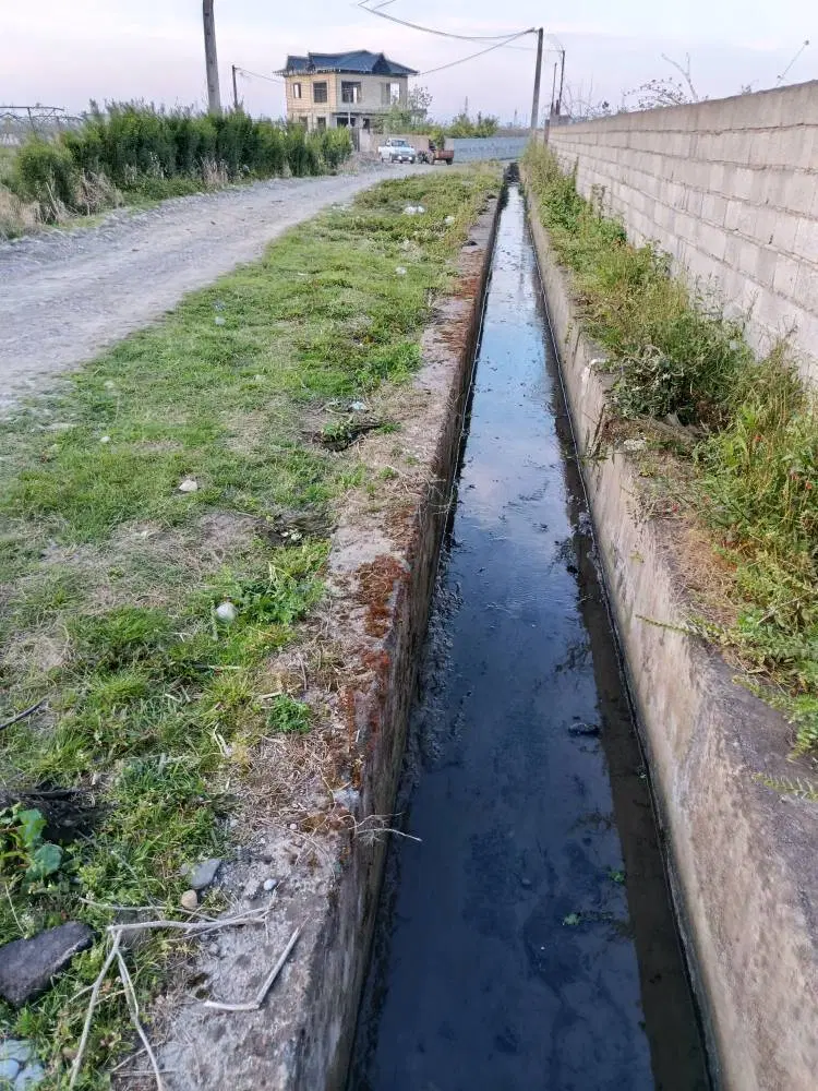 ۲۵۰۰ متر باغ کیوی