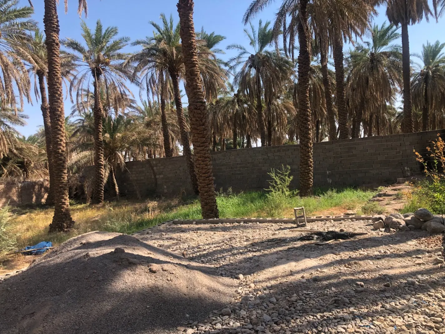 باغ کشاورزی شهداد