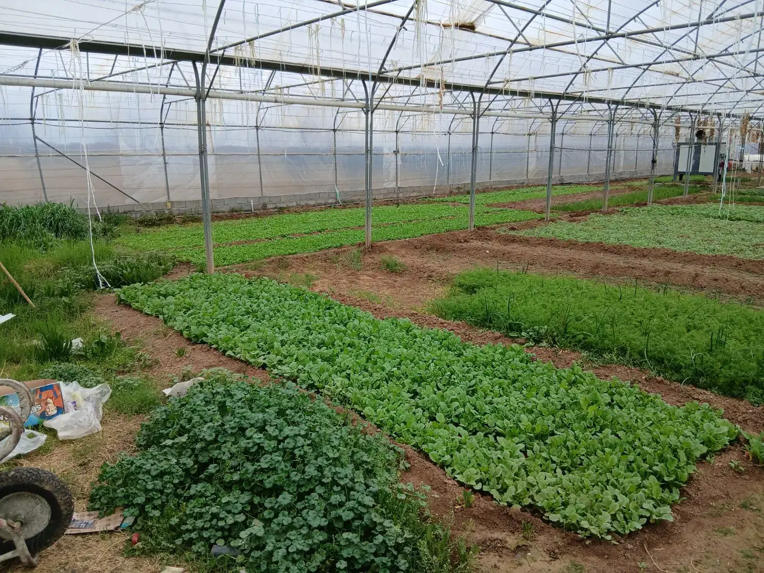 فروش گلخانه وباغ
