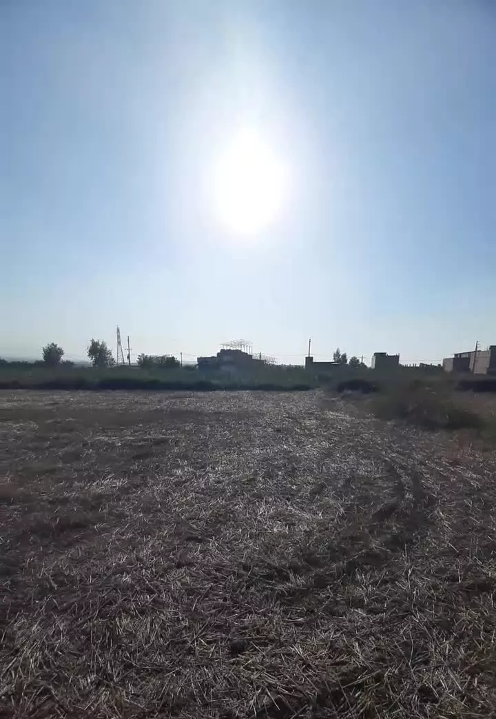 زمین باغی ۲۵۵ متری