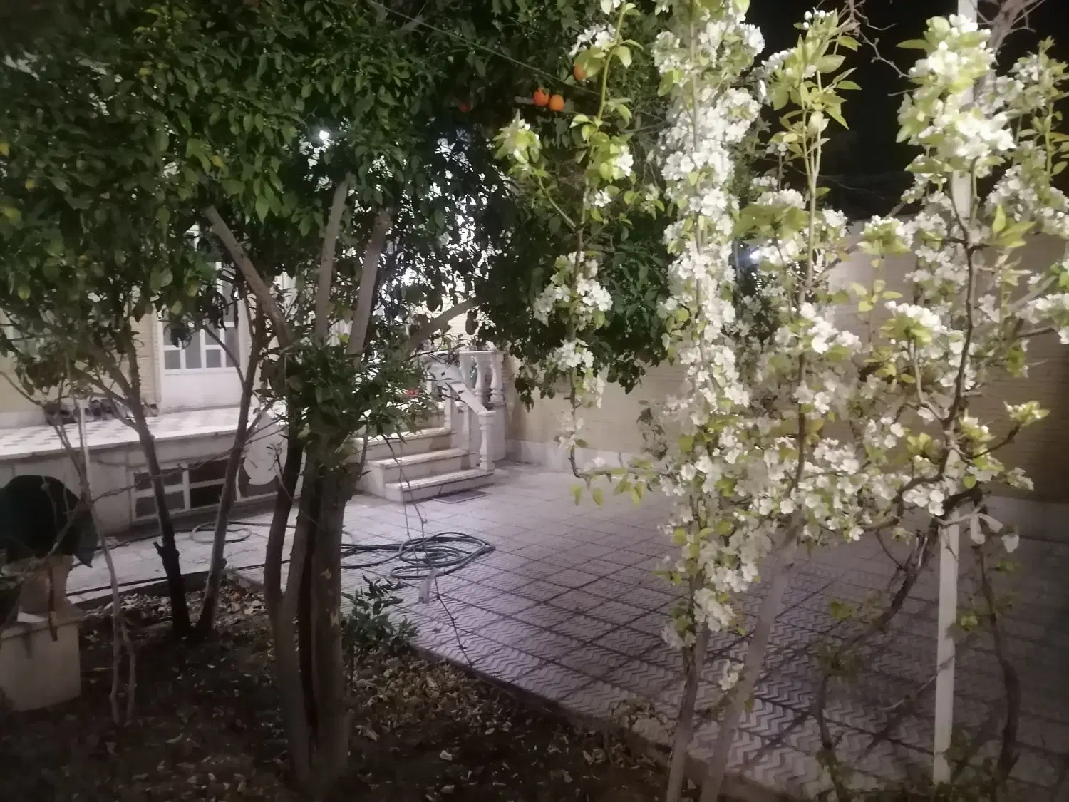 منزل ویلایی وشمالی شیک 300متری