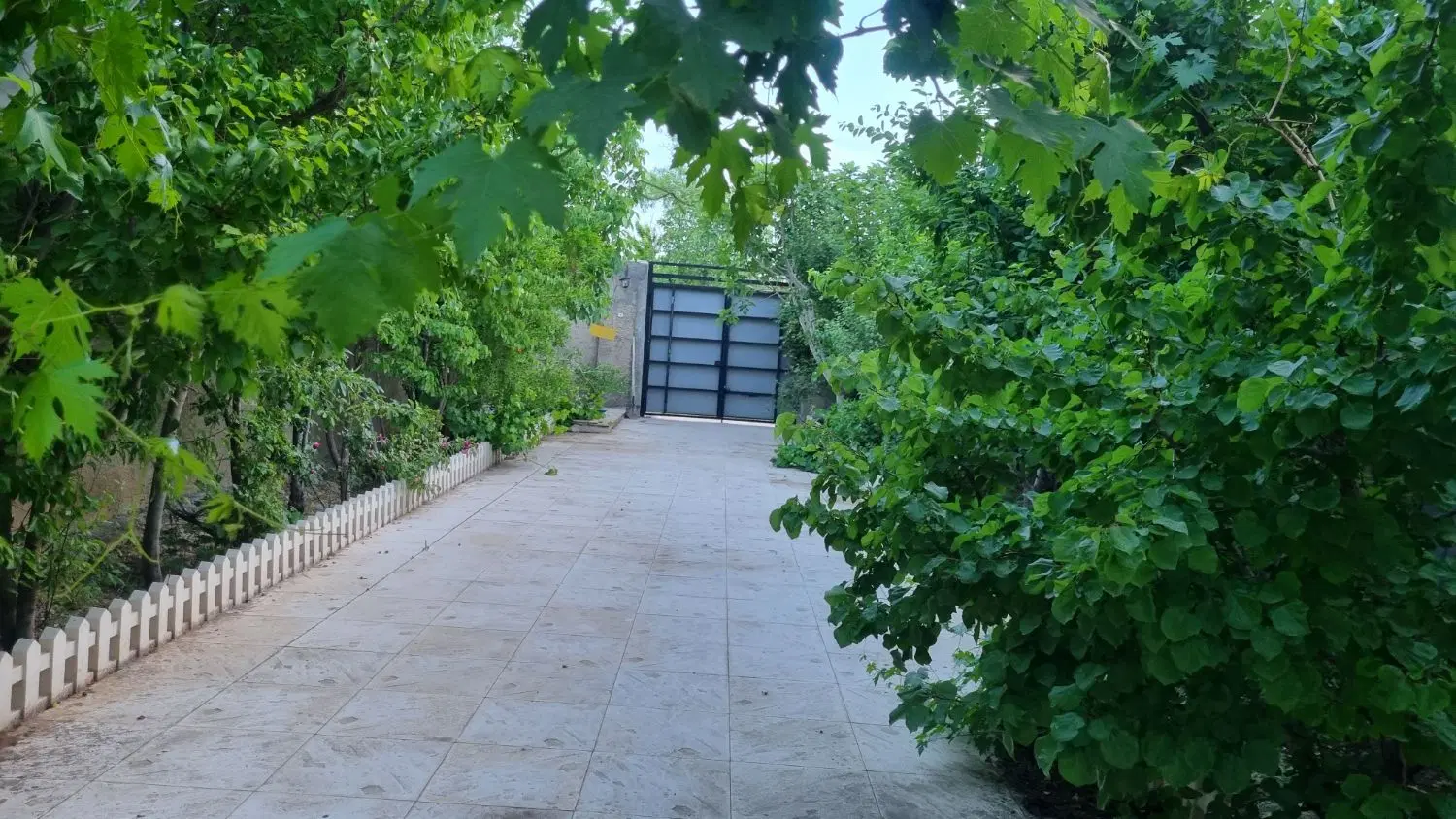 باغچه ۳۰۰ متری