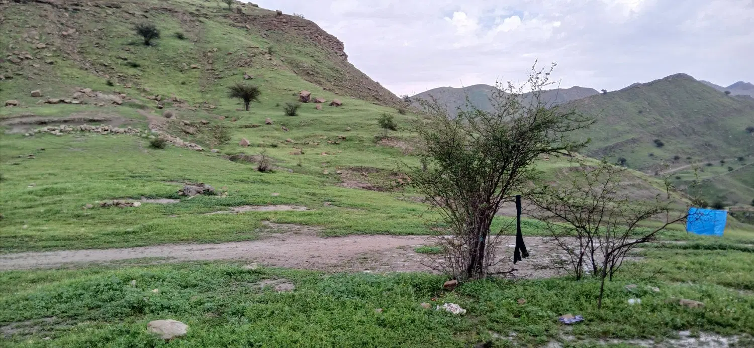 زمین روستای سرپری
