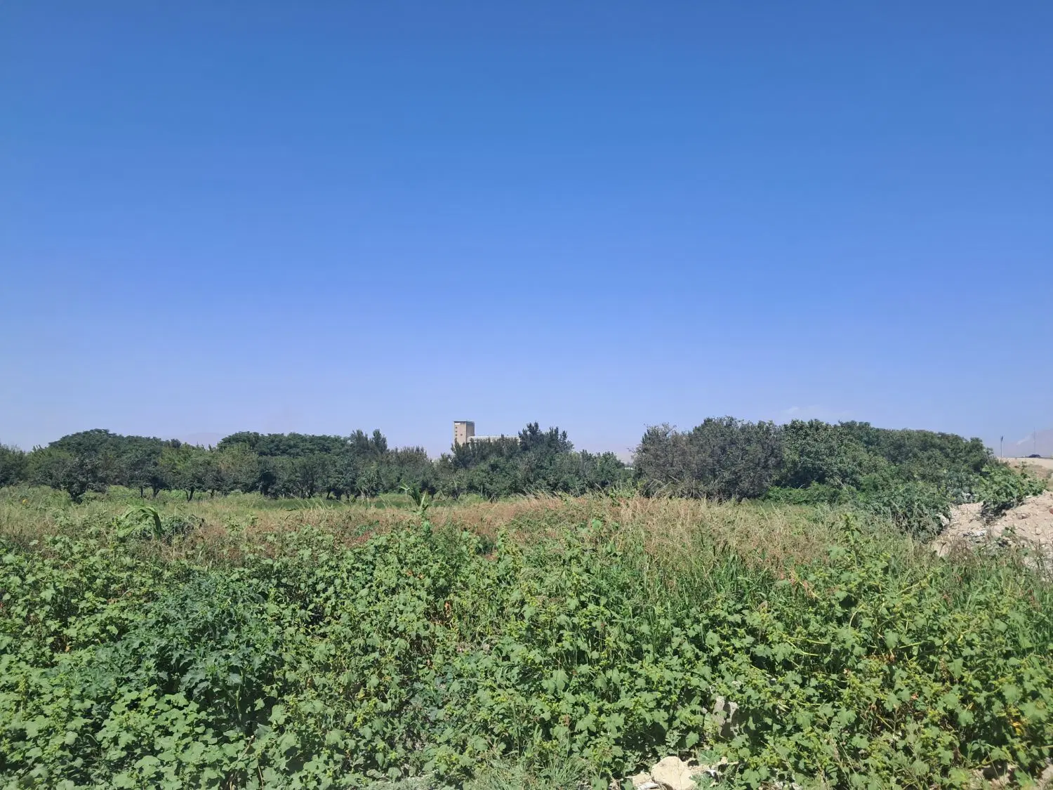 فروش زمینجابل