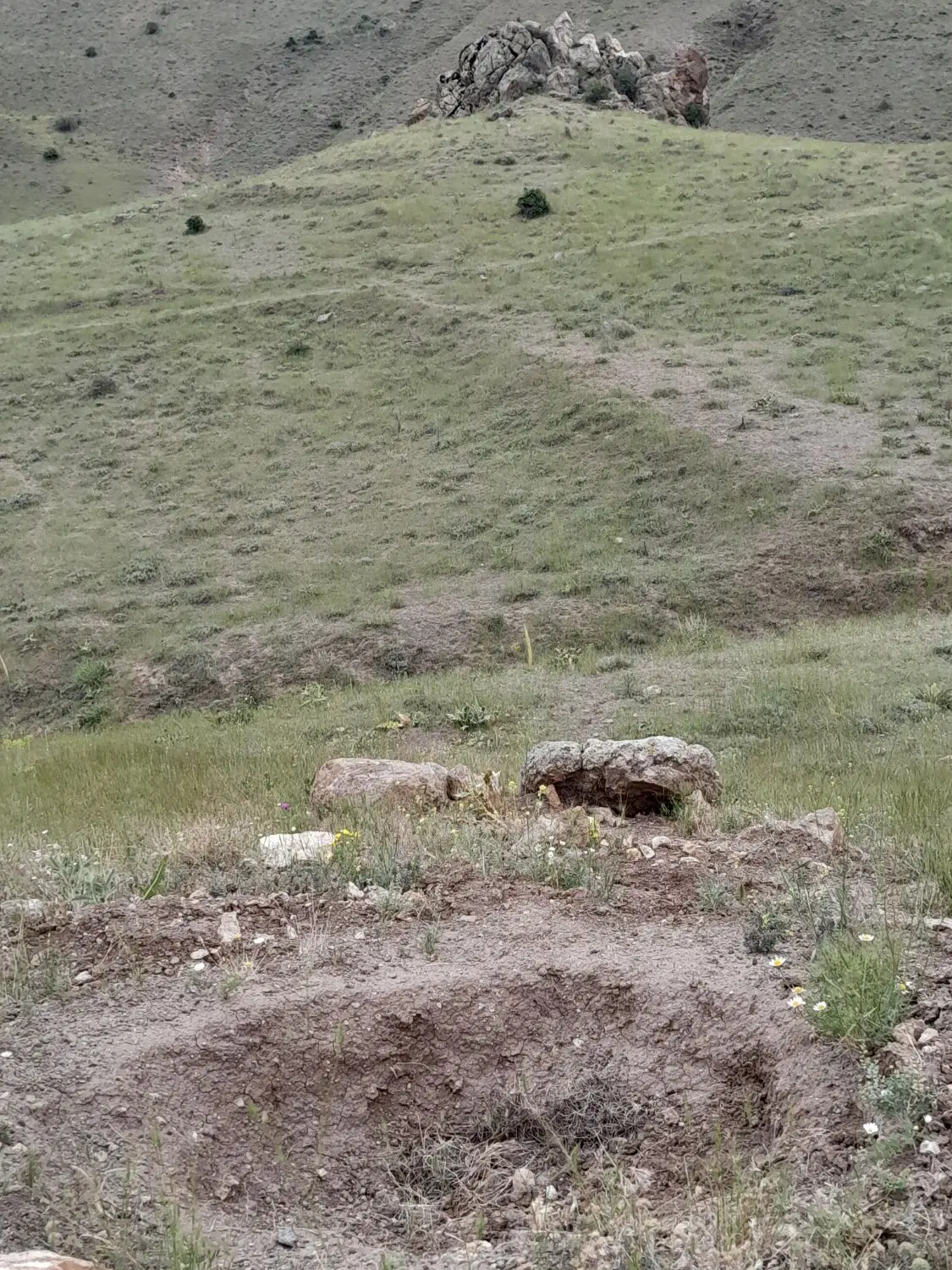 زمین مسکونی در شادباد
