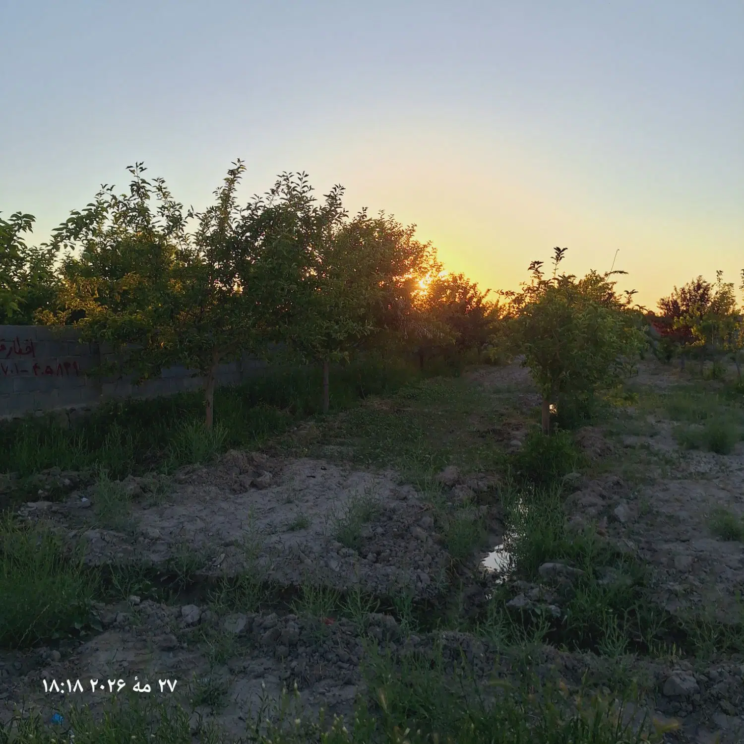 باغ 1000 متری