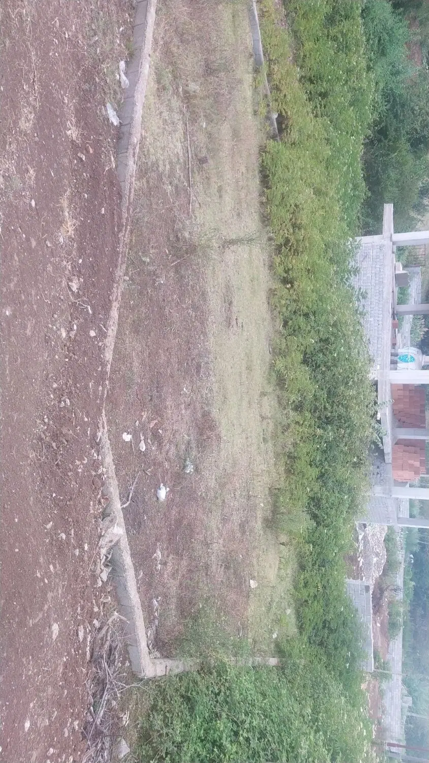 فروش زمین در روستای تاریخی امره