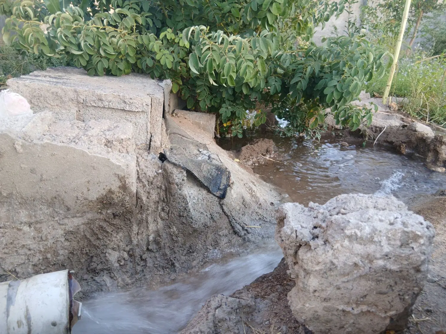 ۳۰قصب خانه باغ بهترین جای کران قیمت خوب