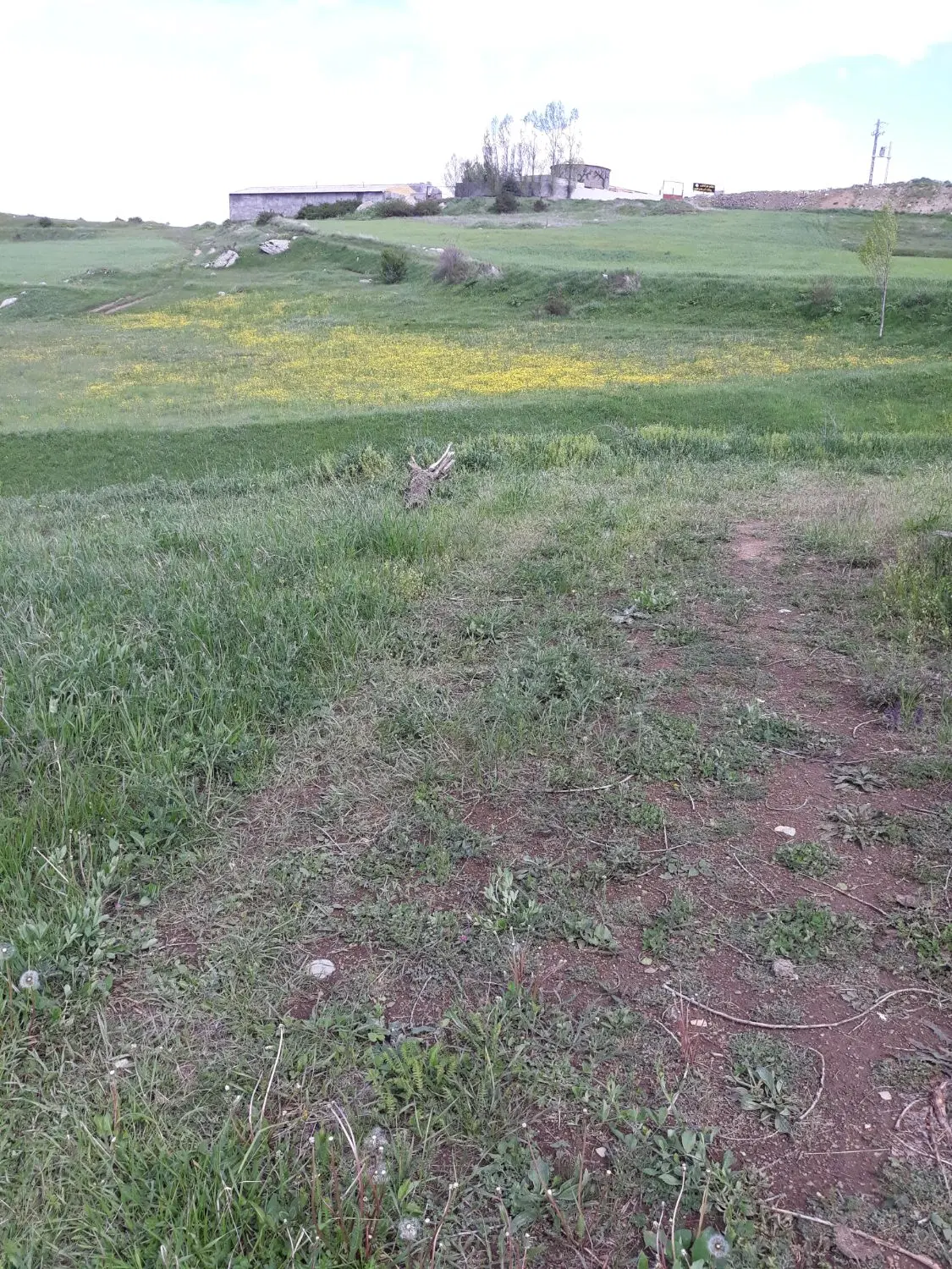 زمین کلیبرمنطقه گردشگری شجاع آبادقلعه بابک