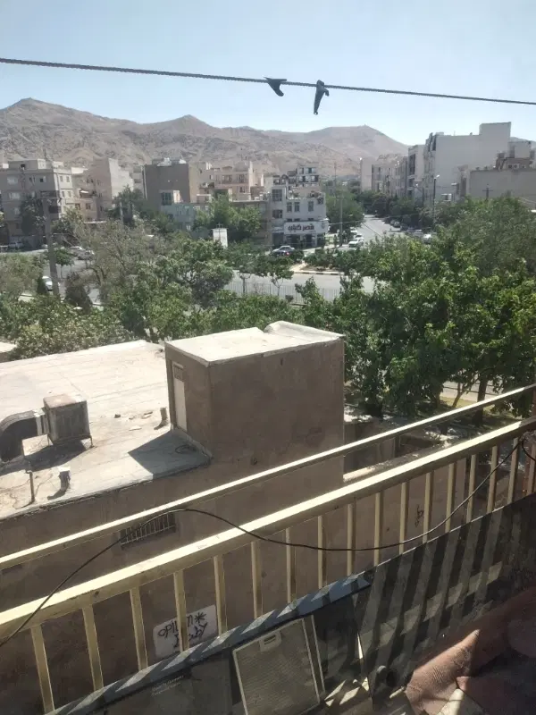 همخونه
