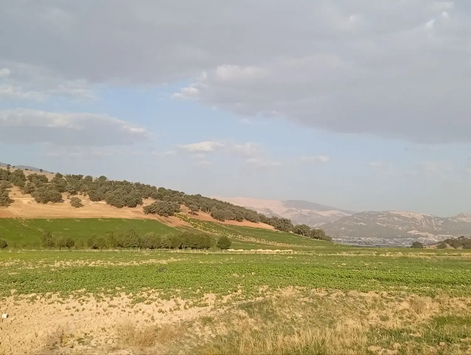 زمین در مختار