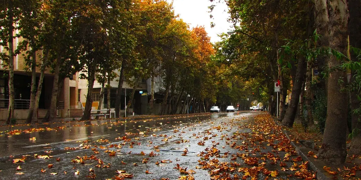 فروش یک جفت زمین تجاری خیابان قائم شاهین شهر
