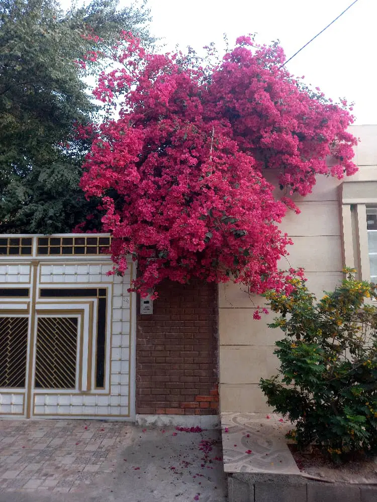 منزل ویلایی