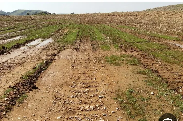 ۷۰۰متر زمین ۱۴ متر بر جاده اصلی روستای می اباد