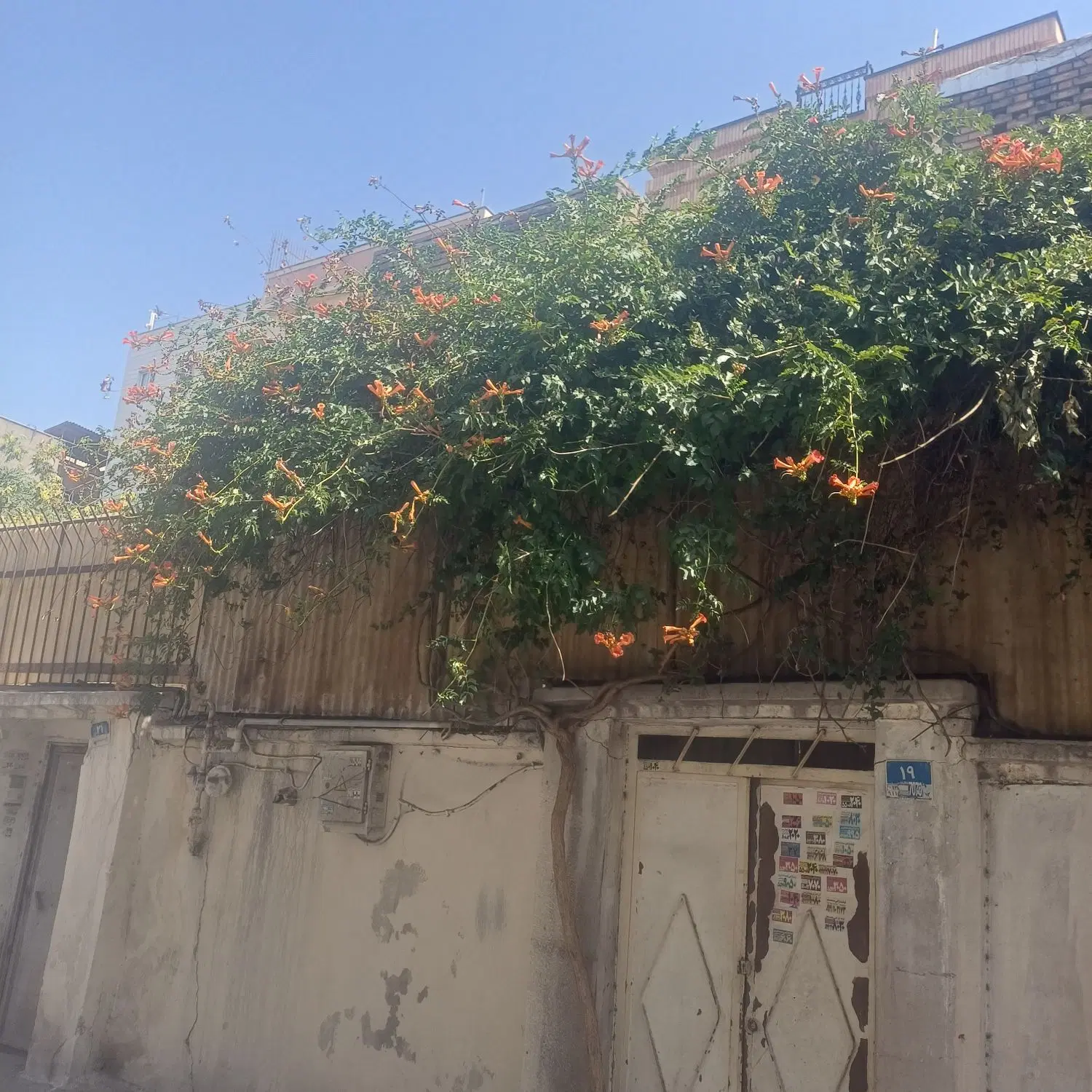 سلسبیل هاشمی پارتمان ۵۲ متری یک خوابه