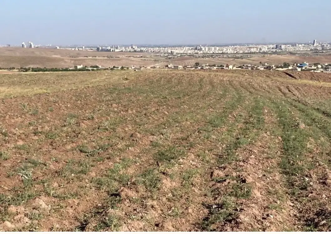 زمین برای ساخت خانه و ویلا
