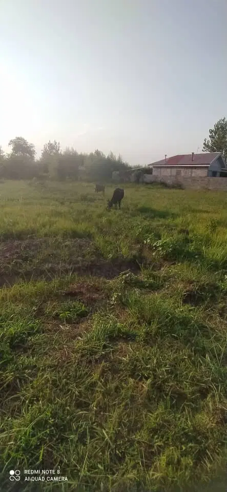 بیجار به زراعی شده