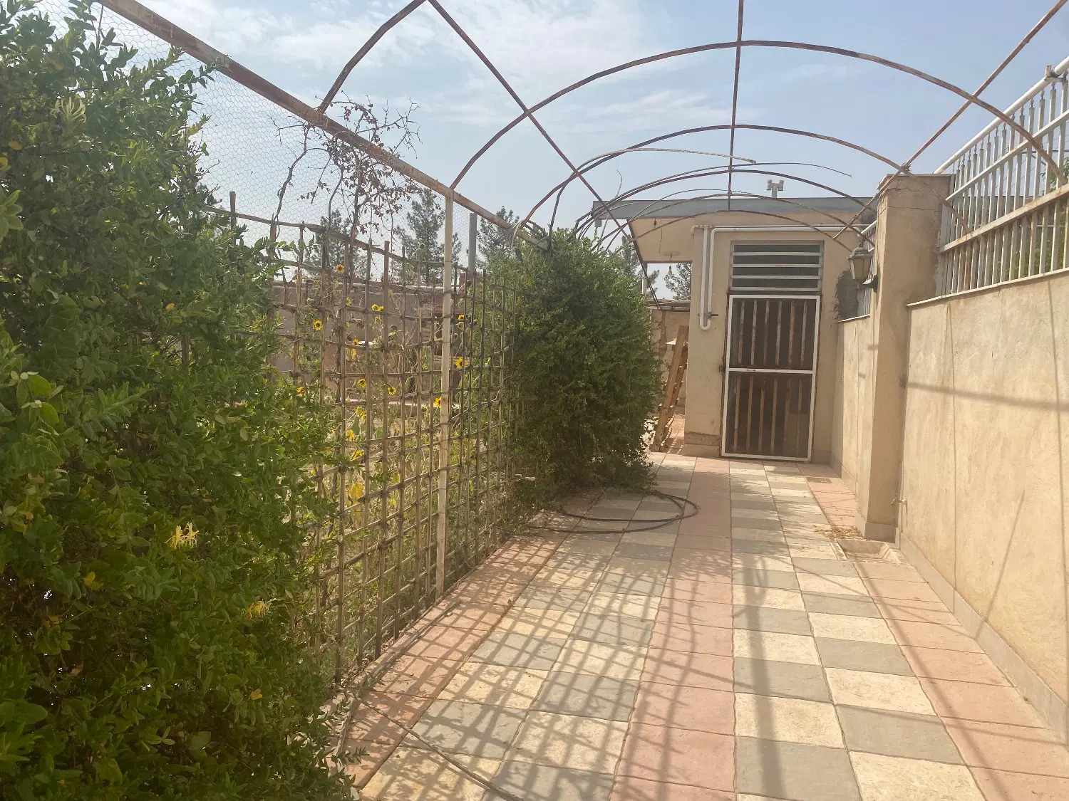 هفت باغ تیپ ب