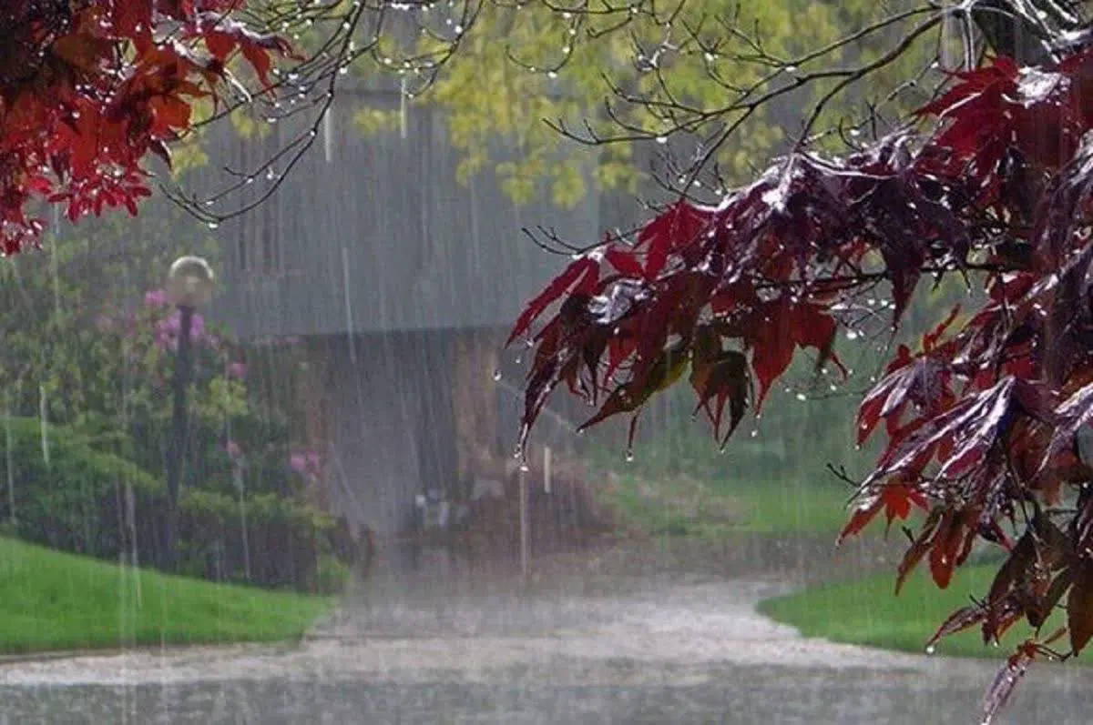 فروش باغ درچه
