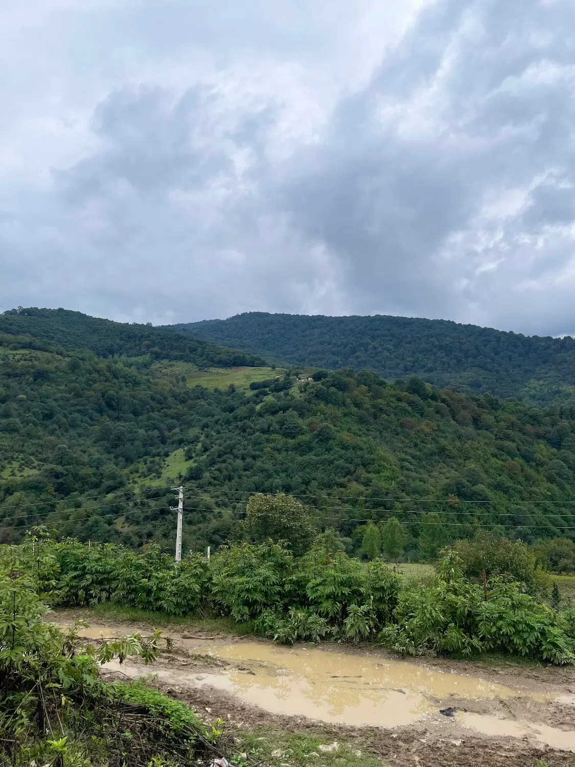 فروش زمین مسکونی در روستای پاجی