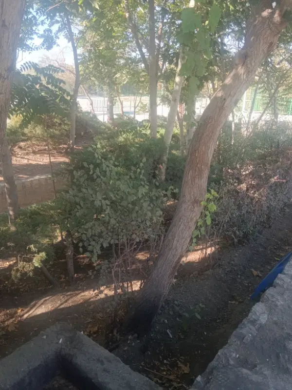 ویلایی 300متری سند دار نوکان