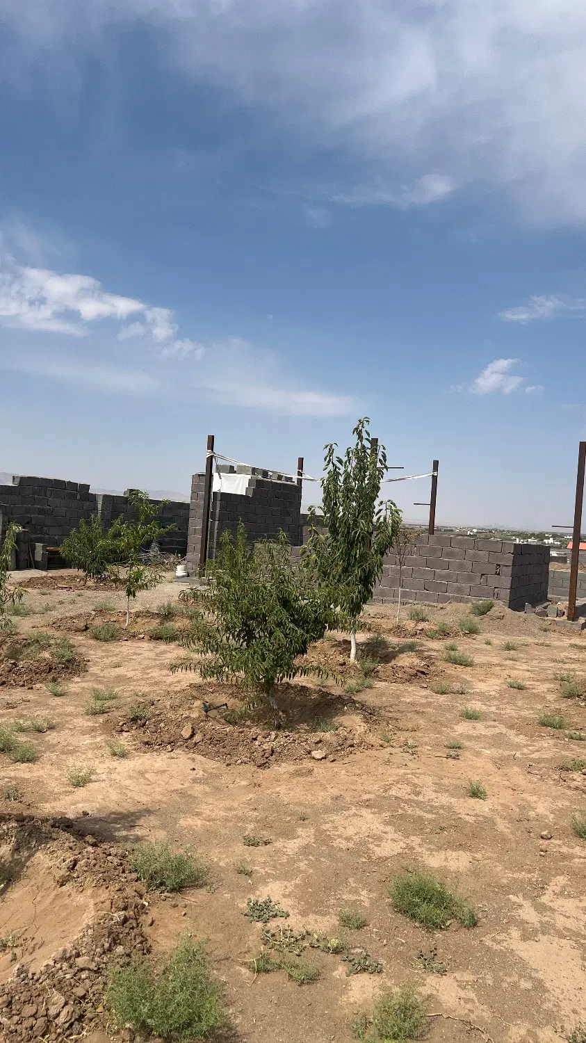 فروش ۵۰۰ متریبا مجوزساخت و دیوارکشی شده در مامونیه