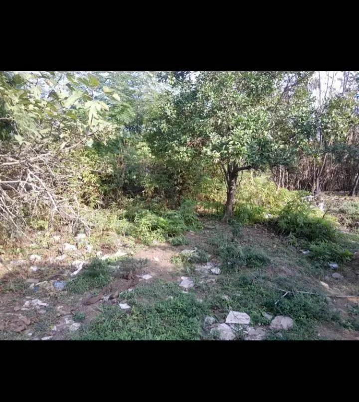 فروش خانه کلنگی