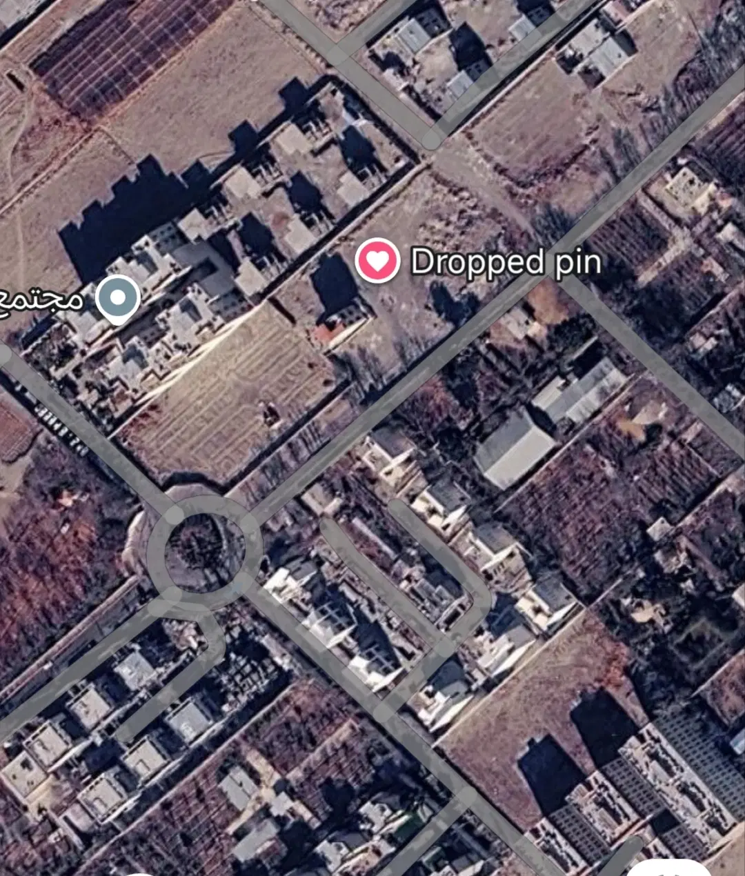 زمین سند تک برگ