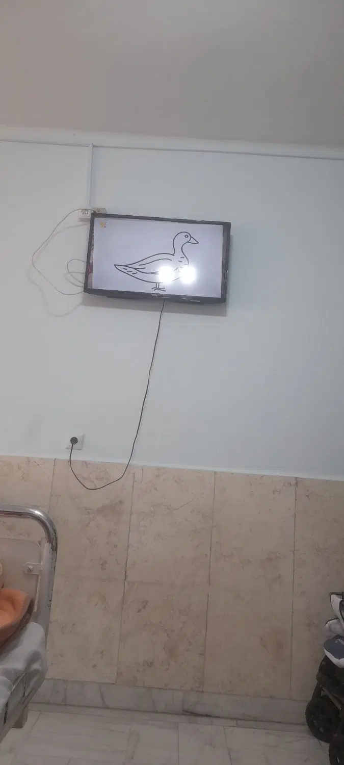 همخانه