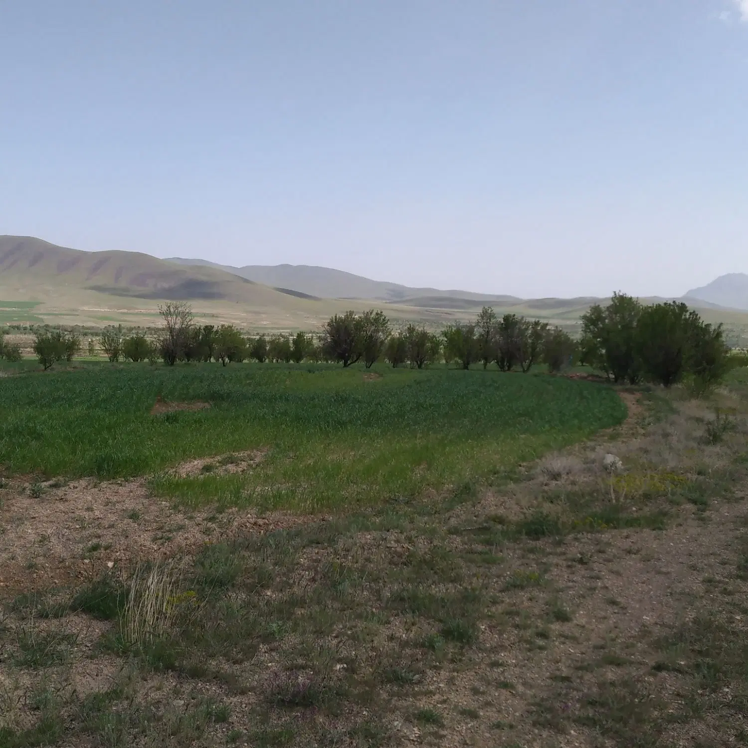 ملک کشاورزی