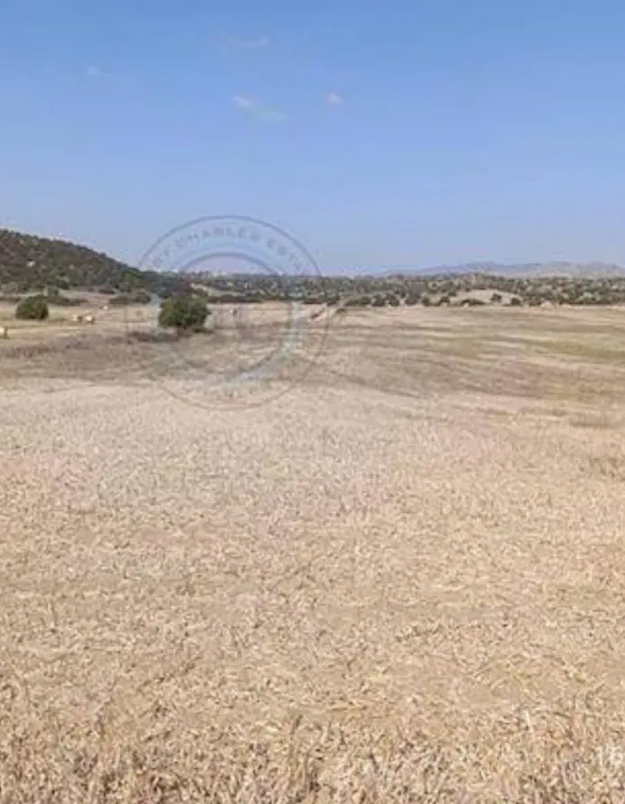 زمین مسکن ملی