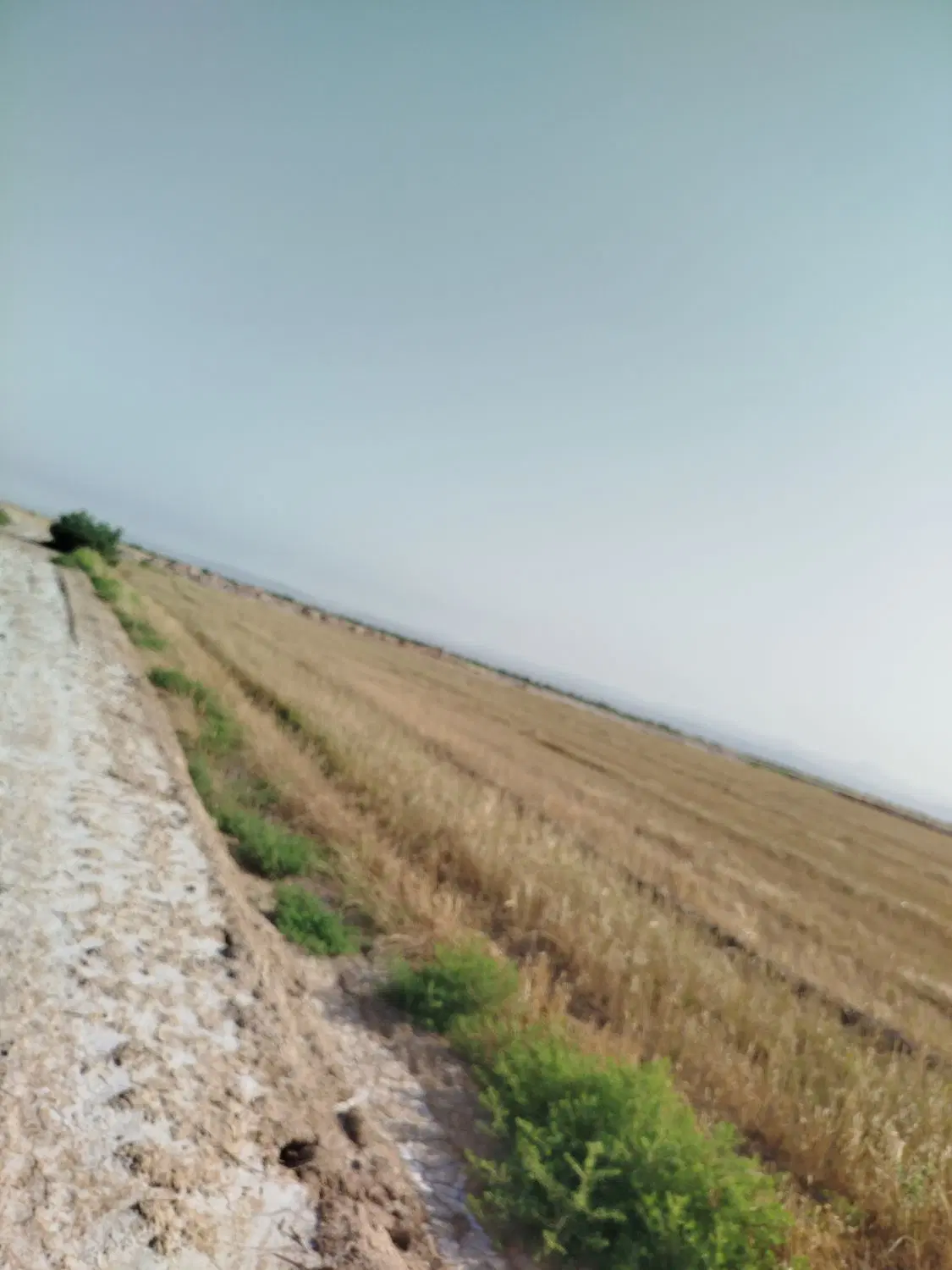زمین کشاورزی در کانادا L5