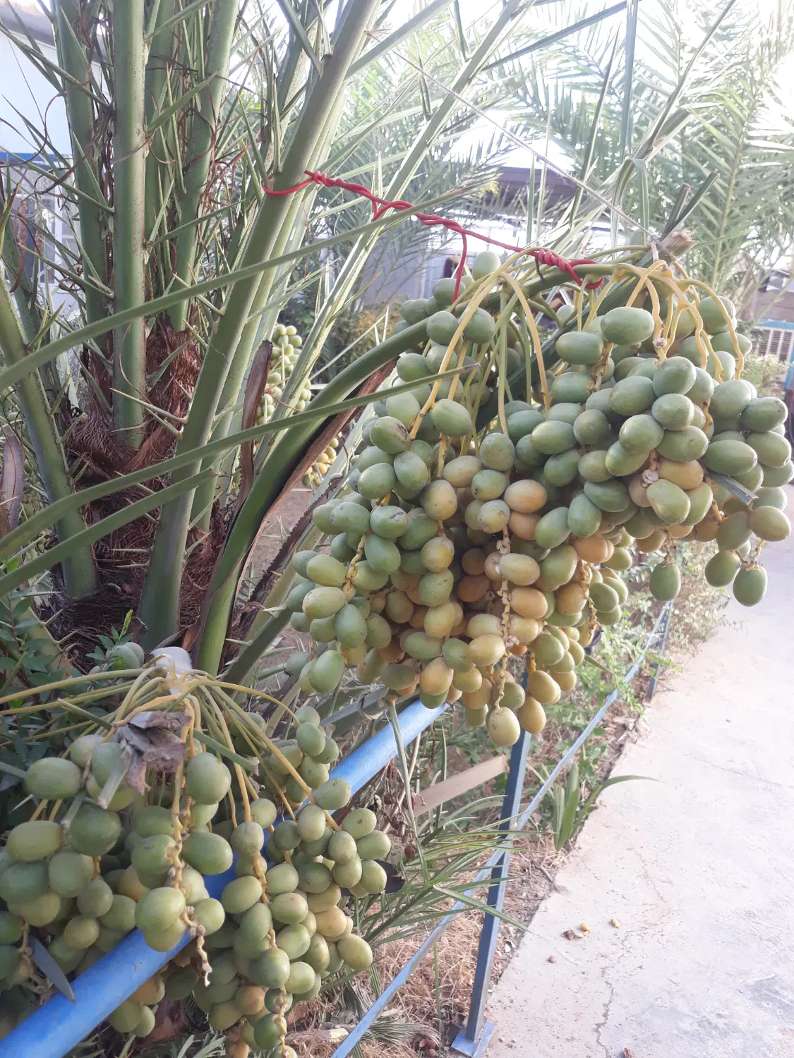 رهن واجاره مغازه فقط برای انبار