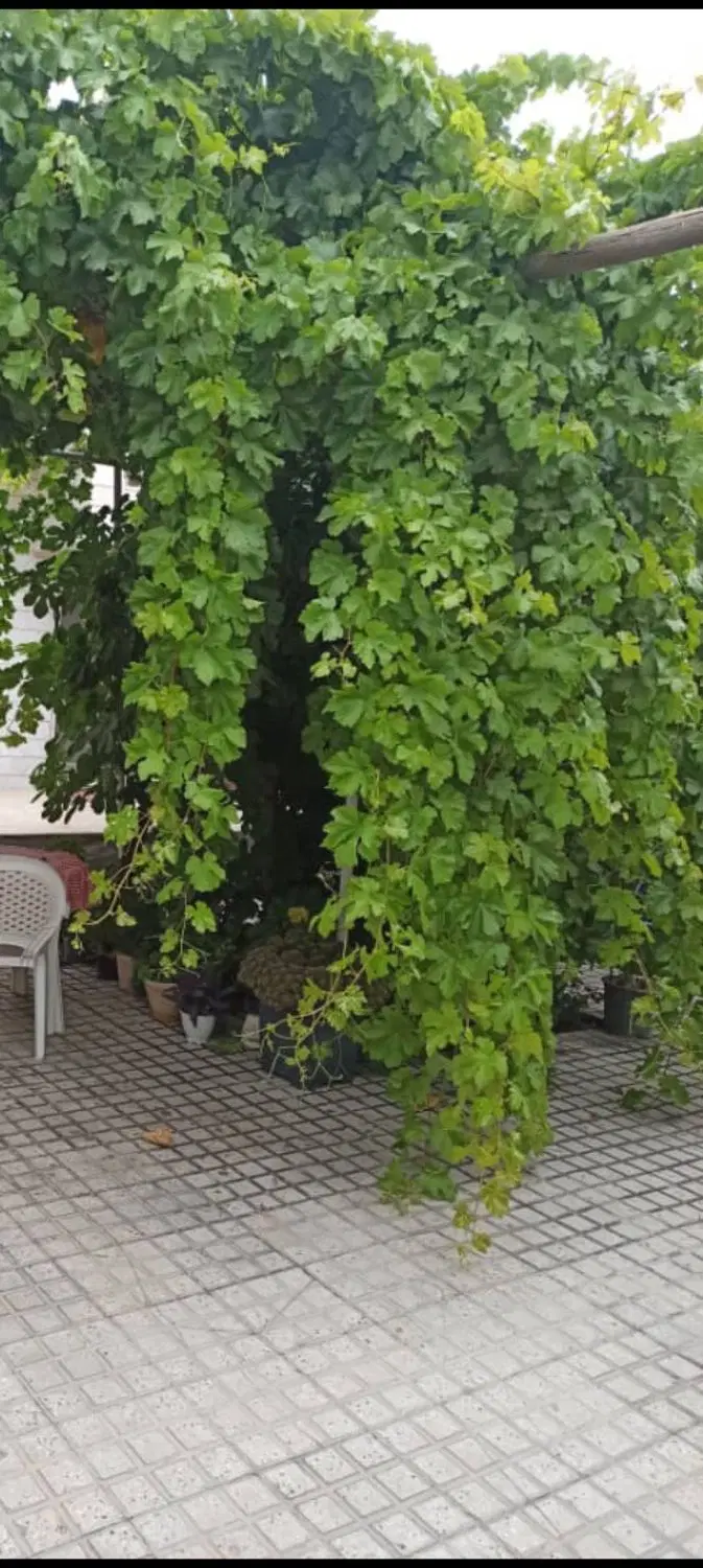 ملک مسکونی