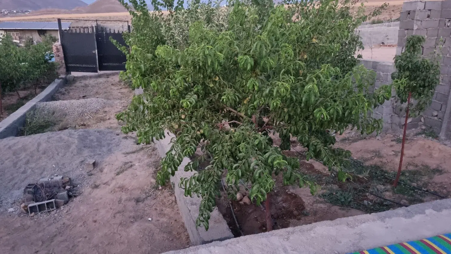 باغچه در سربندان دماوند