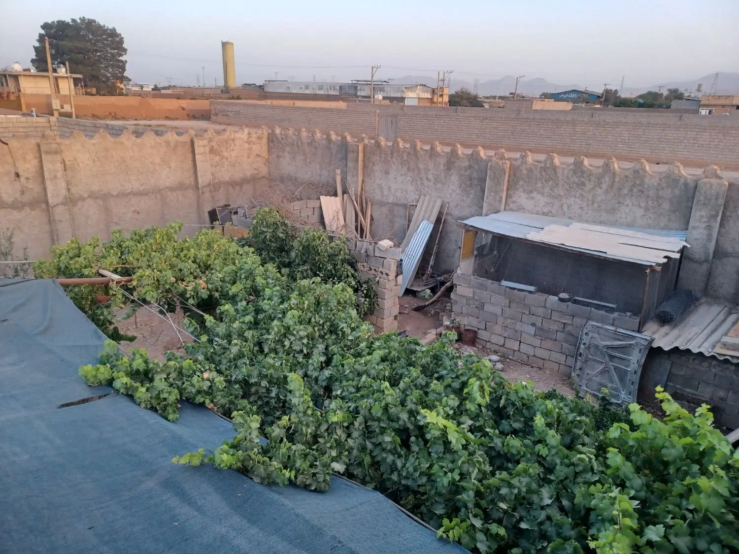 فروش باغ