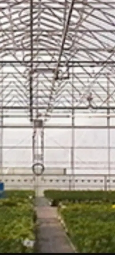 گلخانه برای اجاره داریم